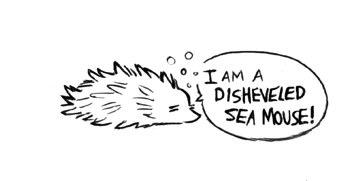 a drawing of a disheveled sea mouse