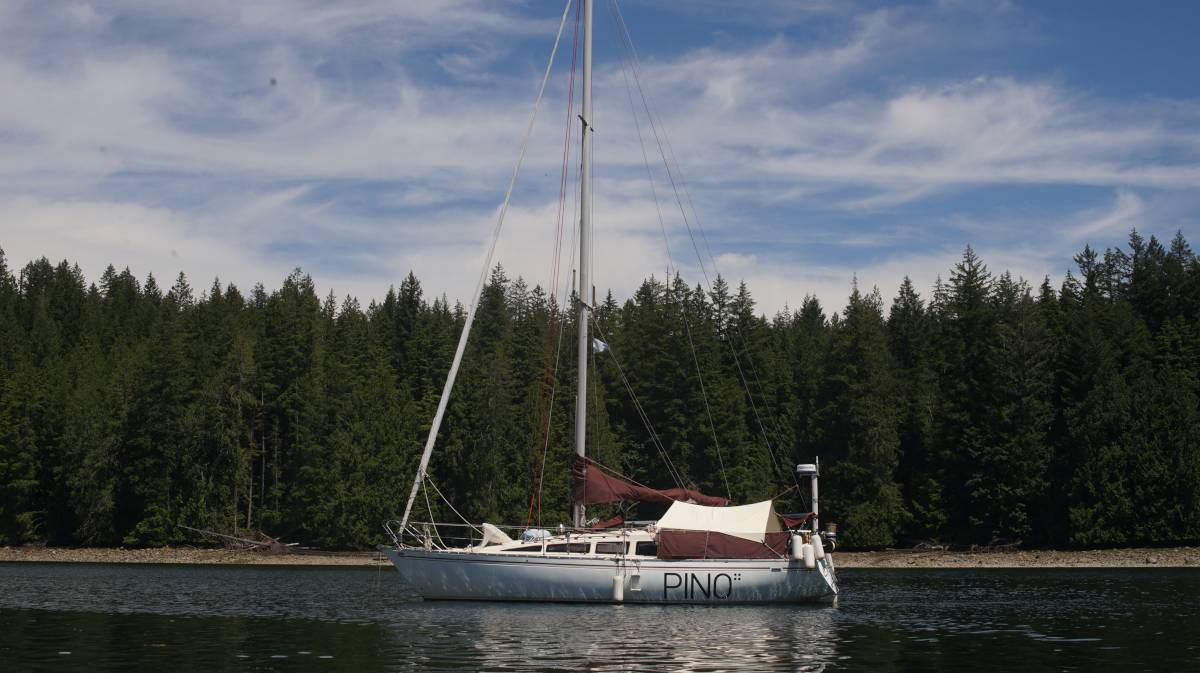 pino with a white tent over the cockpit
