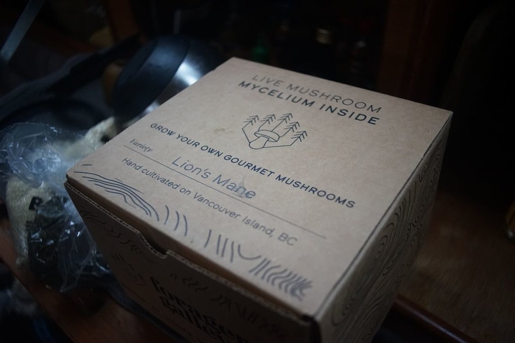 A cardboard box with the words: Live mycelium inside, grow your own gourmet mushrooms, lions made mushroom, handcultivated on Vancouver Island