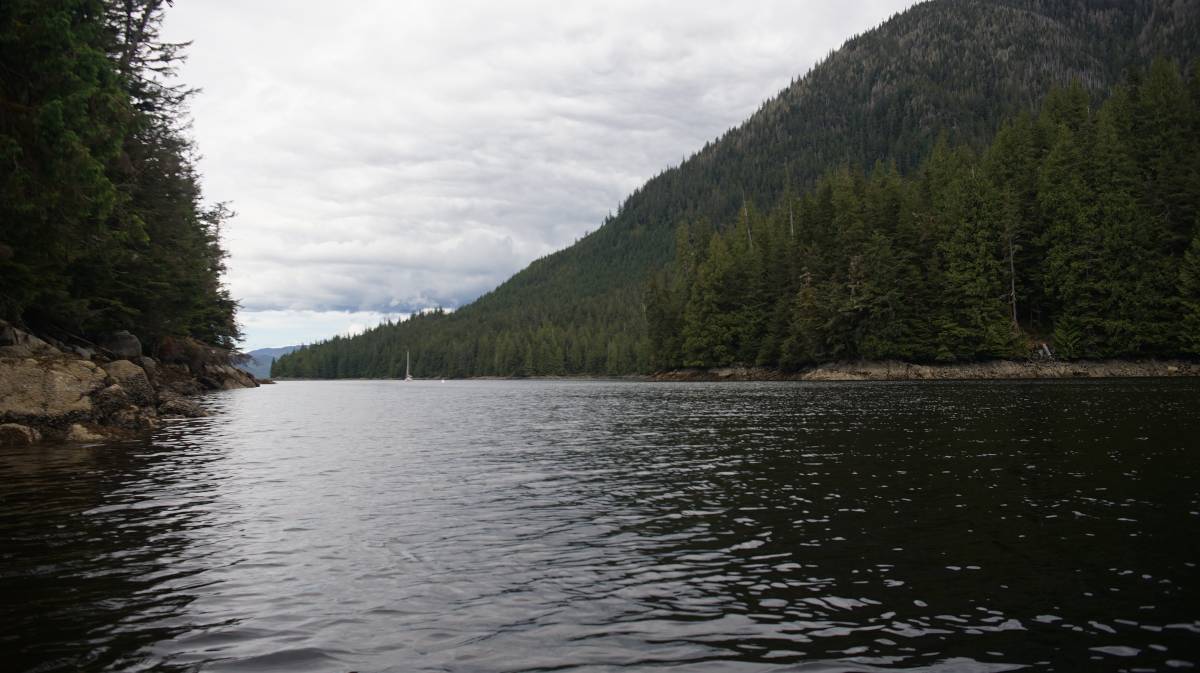 a photo of pino anchored in frosty bay from the shore