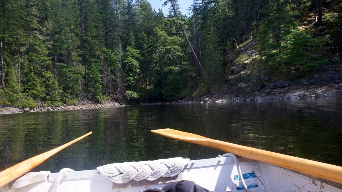 pov of someone rowing a fibreglass dinghy with a forest background