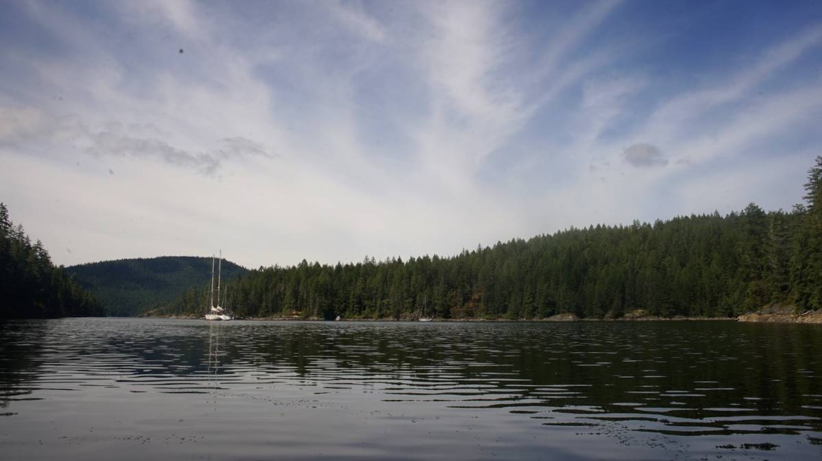 a view of grace harbor on a calm sunny day