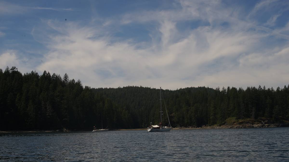 pino in hayathim marine park