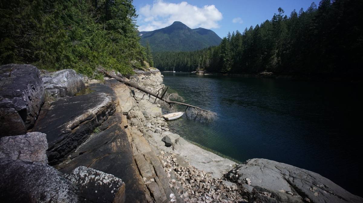 teapot, a fibreglass dinghy, moored onto a dead tree on a rocky shore