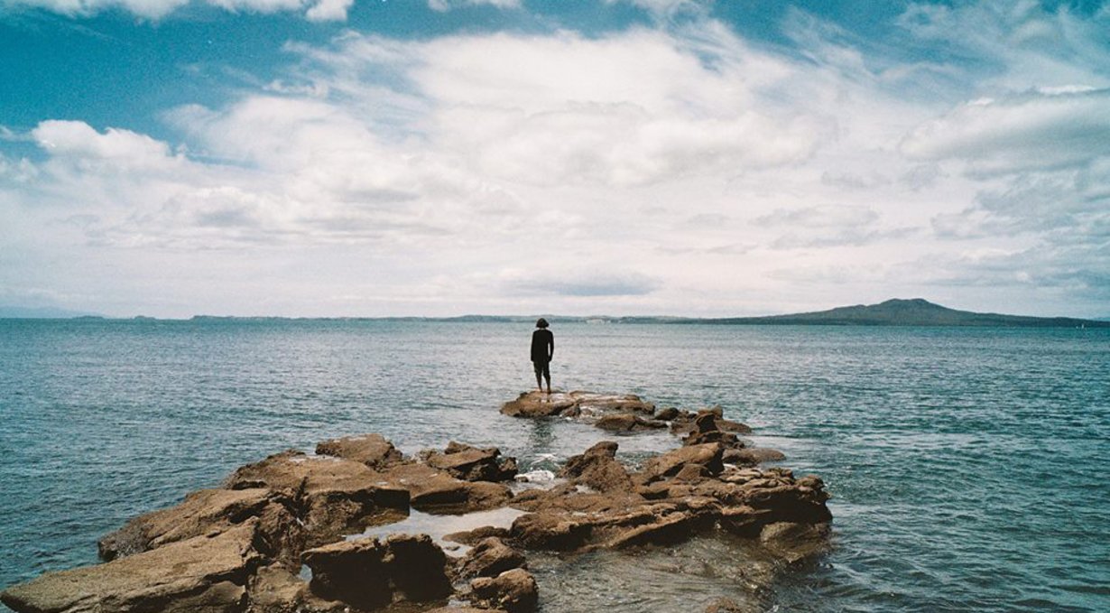 our friend faun somewhere near auckland