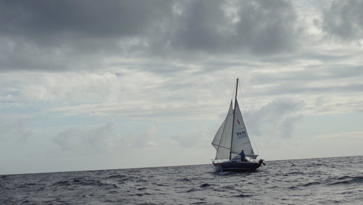 Maestral on the oean as seen from pino