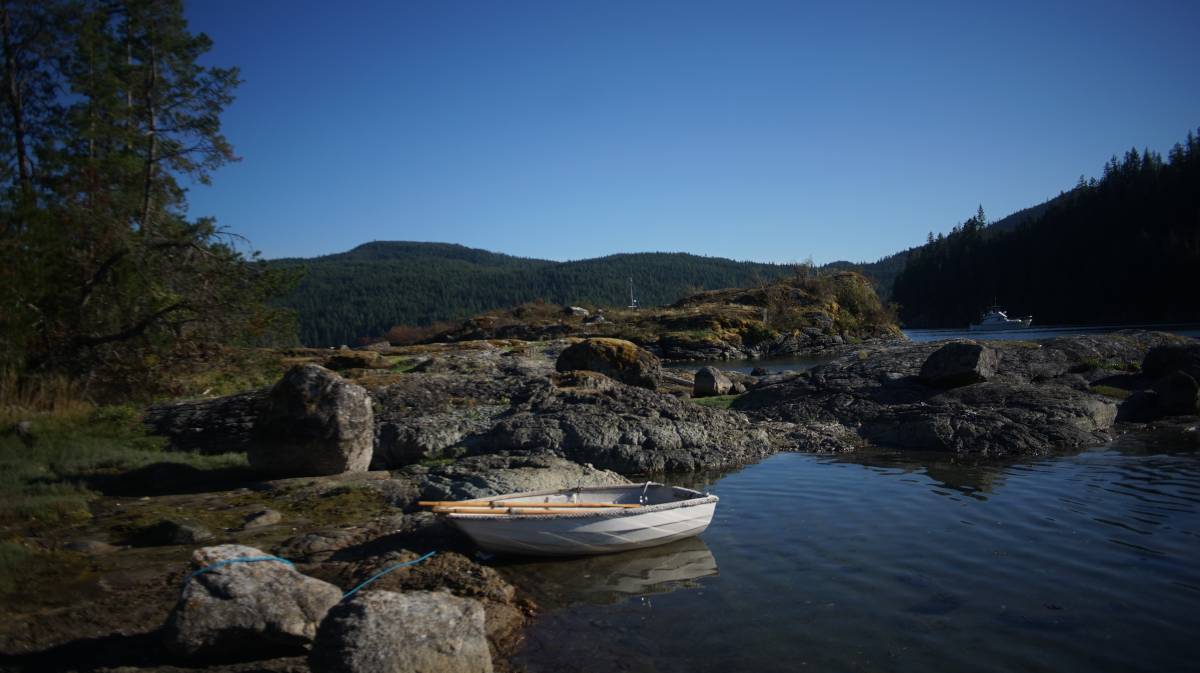 teapot beached in the octopus islands