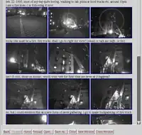 An example of a 1995 cyborglog.