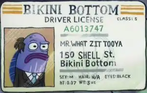 What Zit Tooya's driver's license