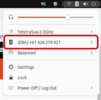 Bluetooth connected to earphones