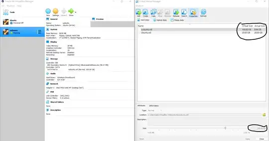 The 100GB I allocated to the OS