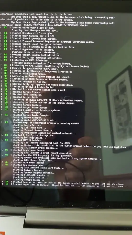 Image of screen after failed boot 
