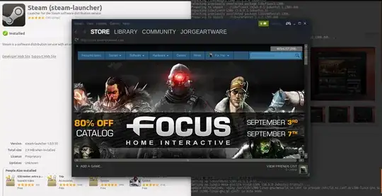 An image of steam working after successful installation