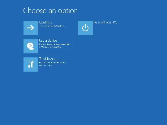 blue screen without death, but recovery and advanced boot options