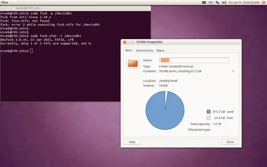 No File System Format
