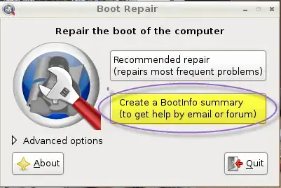 Initial Boot-Repair Window