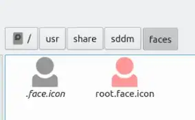 default face in log-in screen