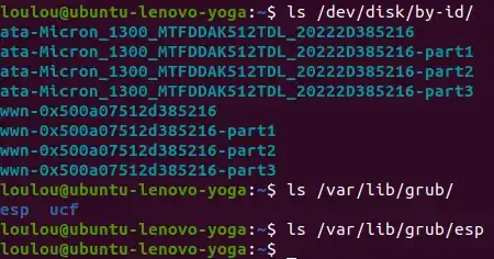List of the content of the disk directory : there is no TOSHIBA but Micron