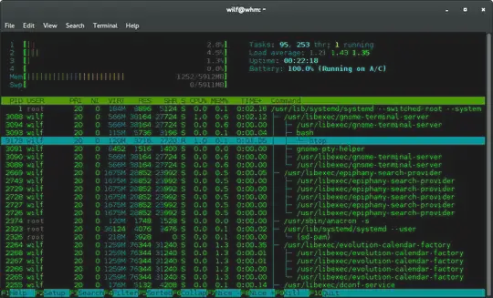 htop screenshot