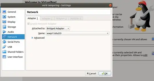 the network setting for the virtual machine