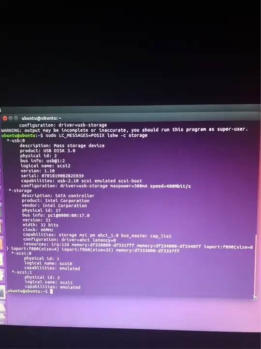 LC_Messages=POSIX lshw -storage screenshot