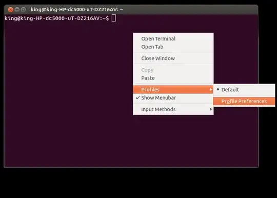 Just a terminal window