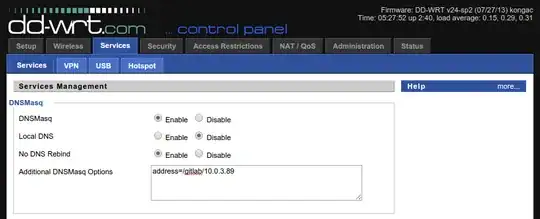 DD-WRT DNSMasq settings