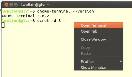gnome terminal context menu image