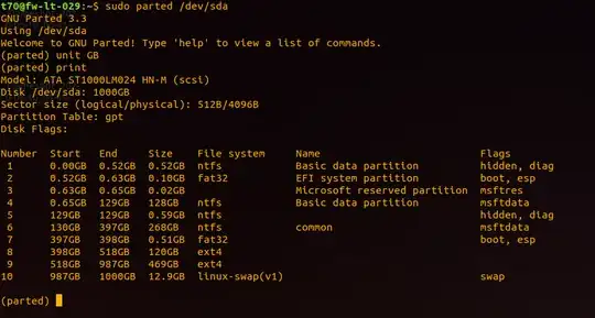 sudo parted /dev/sda result screenshot
