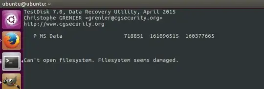 Can't open filesystem (screenshot)