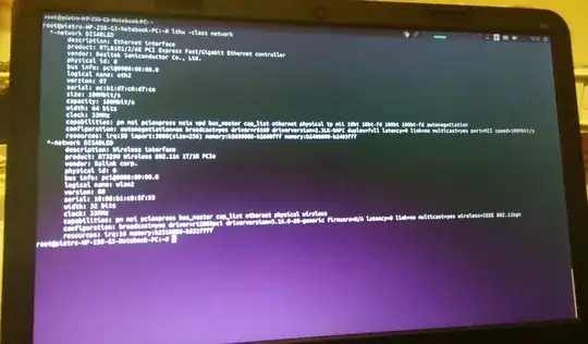 Screen of lshw -class network