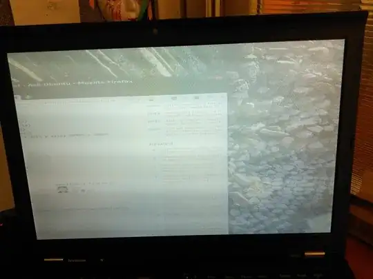 T410s with white stripes