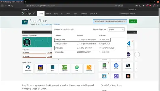 Snap Store website screenshot