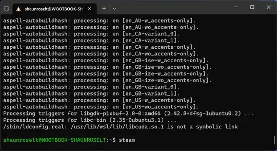 Open Steam from Ubuntu Terminal
