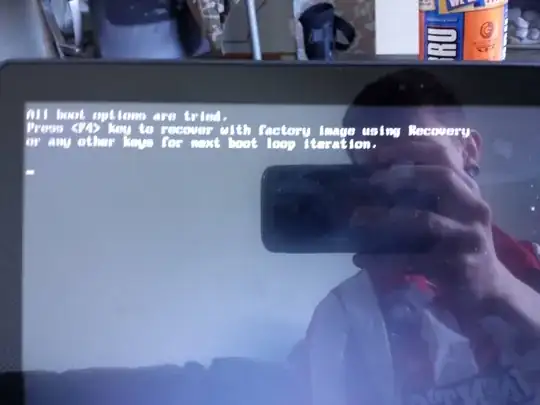 The error displayed when trying to boot.