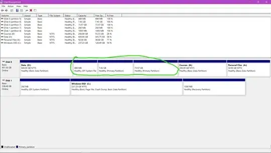 Disk manager of my laptop