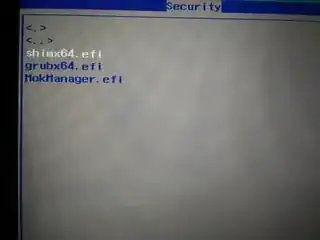 Security menu in UEFI settings