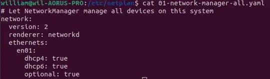 cat /etc/netplan.*yaml