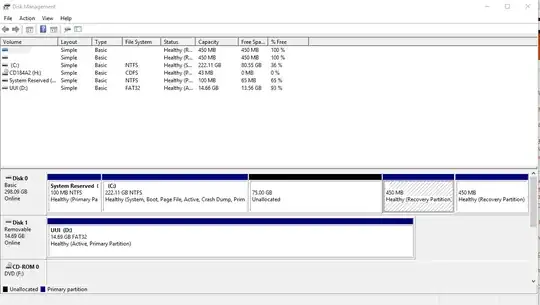 Windows disk management screenshot