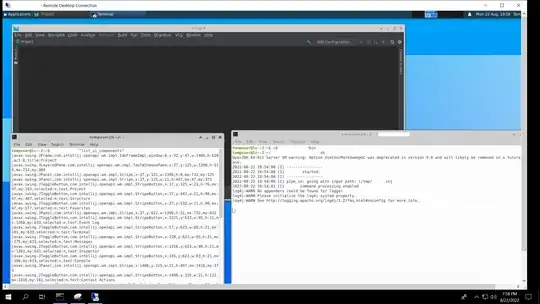 App running with RDP session