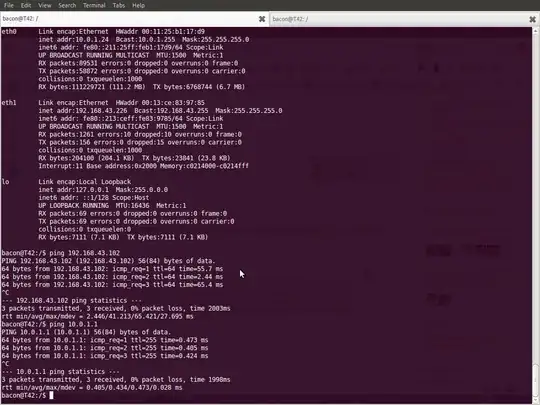 two LAN's both pings work