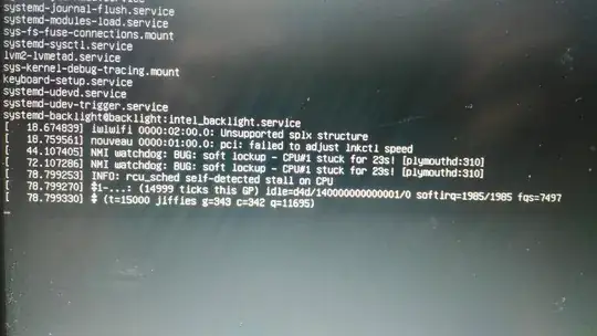 photo of screen showing some boot messages