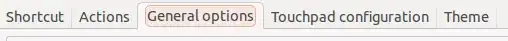Tabs at the top of application.