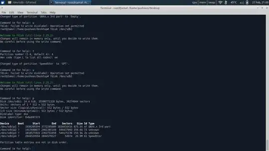 Screenshot of fdisk partition list