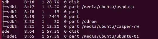 lsblk result on terminal