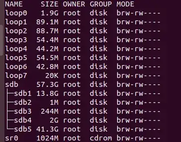sudo lsblk -m results
