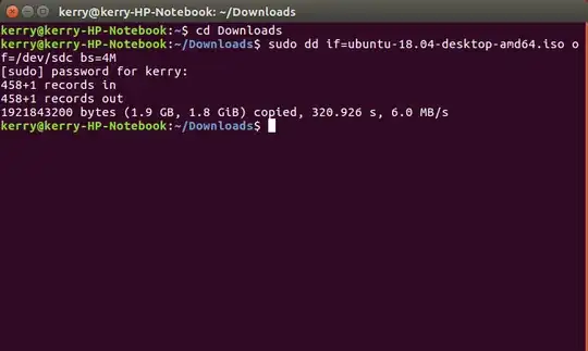Terminal Screen print