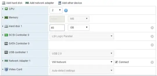 VM configuration screenshot