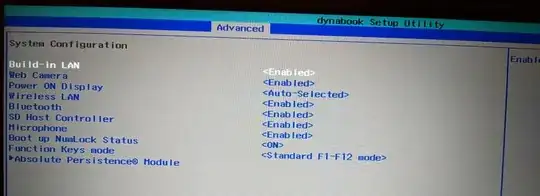 Advanced tab -> System Configuration