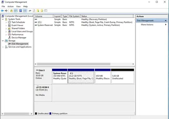 guest OS Disk Management